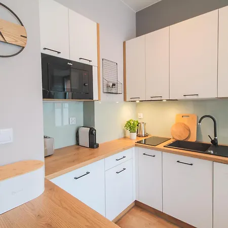 Kaprys Nr 15 - Bezpłatny Parking Apartament Krynica-Zdrój